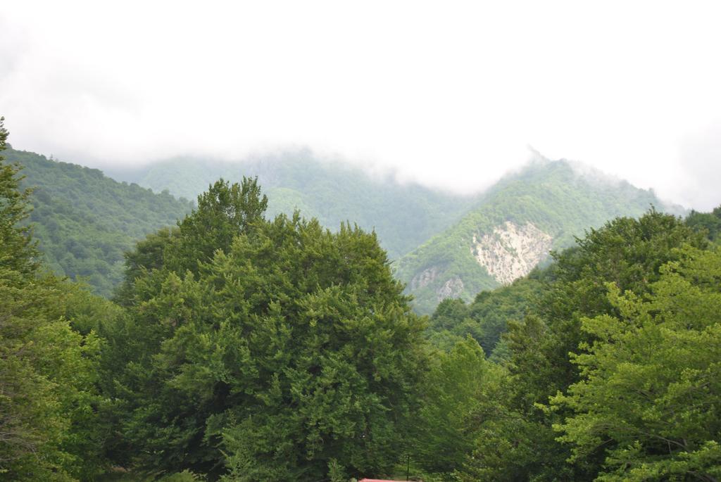 Hotel Talistan Forest Park Exteriér fotografie