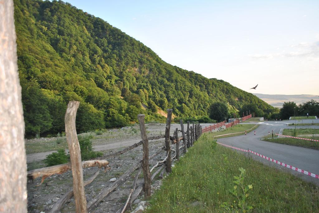 Hotel Talistan Forest Park Exteriér fotografie