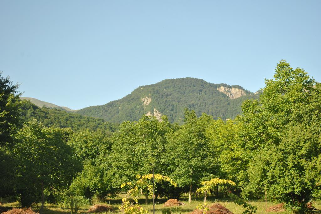 Hotel Talistan Forest Park Exteriér fotografie